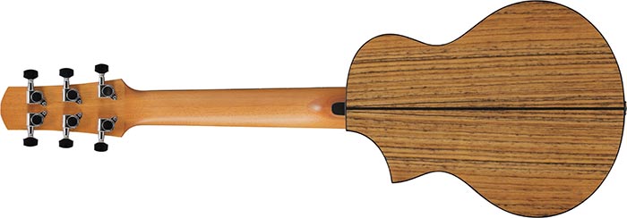 Ibanez EWP14WB-OPN Ac. Guitar
