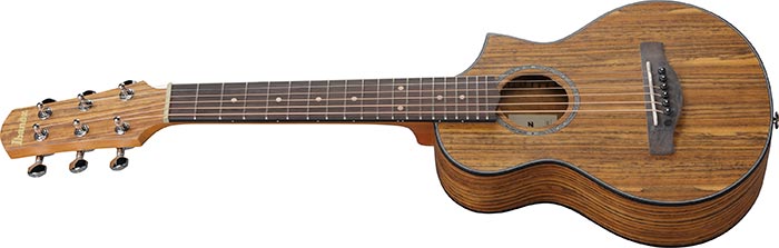 Ibanez EWP14WB-OPN Ac. Guitar